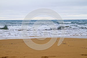 Photo of the sunny summer sandy beach