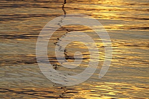 Photo of sunset reflection in water ripples and waves. Colors of gold and bronze.