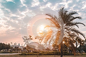 Sunset at Villa-Lobos Park in San Paulo Sao Paulo, Brazil Bra