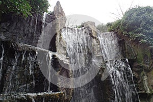 A photo taken in Artis Amsterdam in Artis Amsterdam with a long shutter speed.