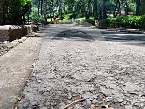 photo taken from below in the sunken park of Mexico City