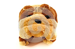 A photo taken on a bulldog plush toy against a white backdrop