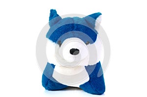 A photo taken on a cute blue white fox animal plush toy