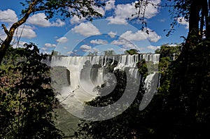 Iguazu Waterfalls Jungle Argentina Brazil