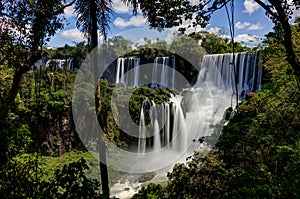 Iguazu Waterfalls Jungle Argentina Brazil