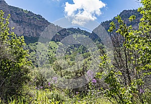 Photo taken looking up at the ridge in Sink Canyon State Park in Lander, Wyoming.