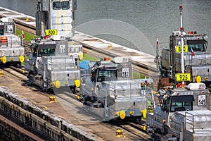 Panama Canal Mules