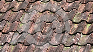 photo with telephoto lens, old clay tile used, worn and mossy with natural outdoor light