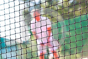 Photo of tennis net at court