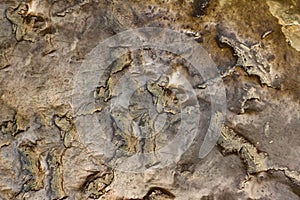 Photo texture of copper or bronze statue