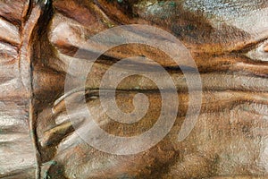 Photo texture of copper or bronze statue