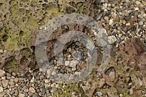 Photo texture of natural porous stone and gravel