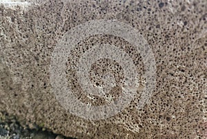 Photo textured pore stone for background