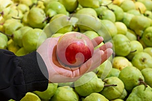 Photo on the theme of fruit.