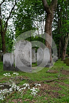 Photo of tombstones in the historic Jewish cemetery at Brady Street, Whitechapel, East London UK.