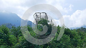 Photo of tower on junggle