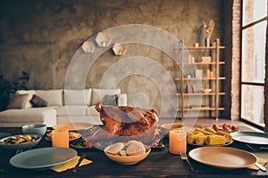 Photo of traditional thanksgiving dinner meal with roasted turkey corn harvest cranberry pie tomato potato plates forks