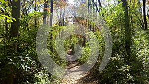 Photo of a trail in Delaware.