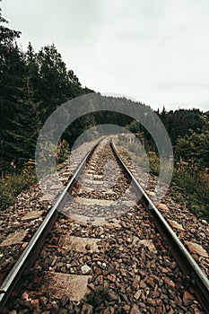 Photo of train rails in country landscape in the middle of forest with trees on background. Train rails crossing dark and old