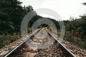 Photo of train rails in country landscape in the middle of forest with trees on background. Train rails crossing dark and old