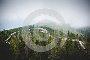 Enjoy tree top sidewalk in Bachledova dolina