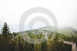 Enjoy tree top sidewalk in Bachledova dolina