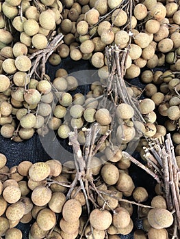 Photo tropical fruit on the counter of the supermarket