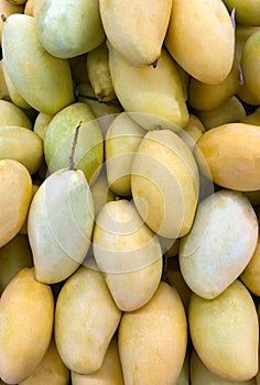 Photo tropical mango fruit on the counter of the supermarket