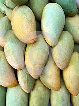 Photo tropical mango fruit on the counter of the supermarket