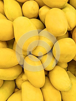 Photo tropical mango fruit on the counter of the supermarket