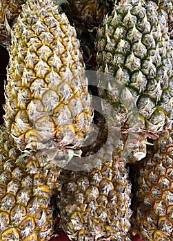 Photo tropical pineapple fruit on the counter of the supermarket