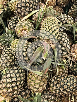 Photo tropical pineapple fruit on the counter of the supermarket