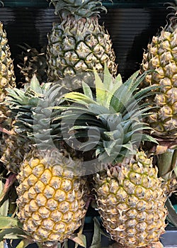 Photo tropical pineapple fruit on the counter of the supermarket