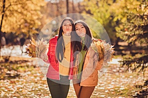 Photo of two dreamy girls charming girlfriends have forest fall park sunset weekend walk hold collect maple leaves send