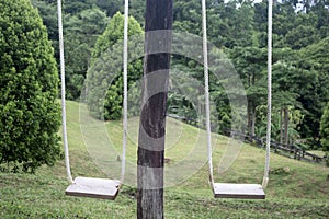 two swings with white ropes and empty in a park