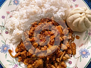 Szechuan Chicken Carryout With White Rice and Dumpling photo