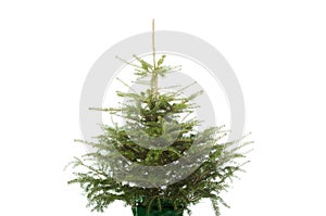 Photo of undecorated christmas tree