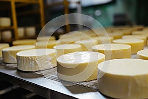 Photo of a variety of cheeses on a moving conveyor belt. Industrial cheese production plant. Modern technologies. Production of