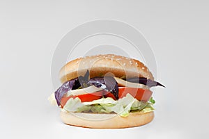 Vegetarian burger with basil and tomato on a white background photo