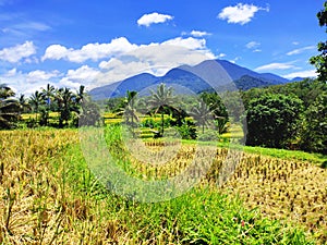 photo of views of mountains and green rice fields with clear blue skies