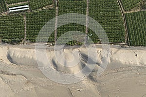 Photo of a vineyard in a desert landscape captured from above, Gansu - China