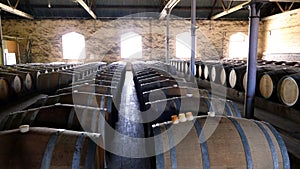 Photo of vintage wine barrels in Rows