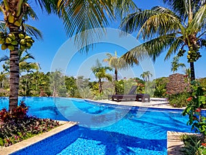 A swimming pool in a tropical garden in Sosua photo