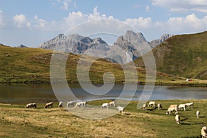 Candanchu and Pyrenees photo