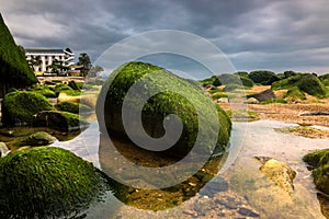 Close-up of Green Moss Covered Rocks at Beach with Dark, Dramatic Sky during A Storm