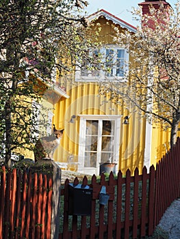 Cat and yellow house in Vaxholm, Sweden photo