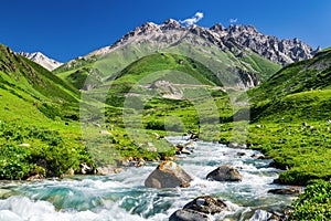 The creek in summer alpine steppe photo