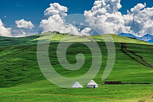 The mongolia yurts in green alpine steppe photo