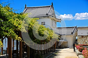 Photo was taken in Tsuyama Castle photo