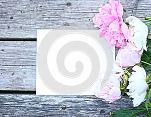 Photo of white, pink pion flowers on wooden table. Summer concept. Floral background for web site, greeting card, banner, flower s